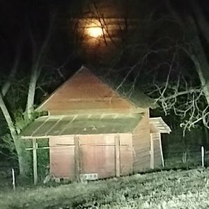 Meet your Posher, Kellie jo